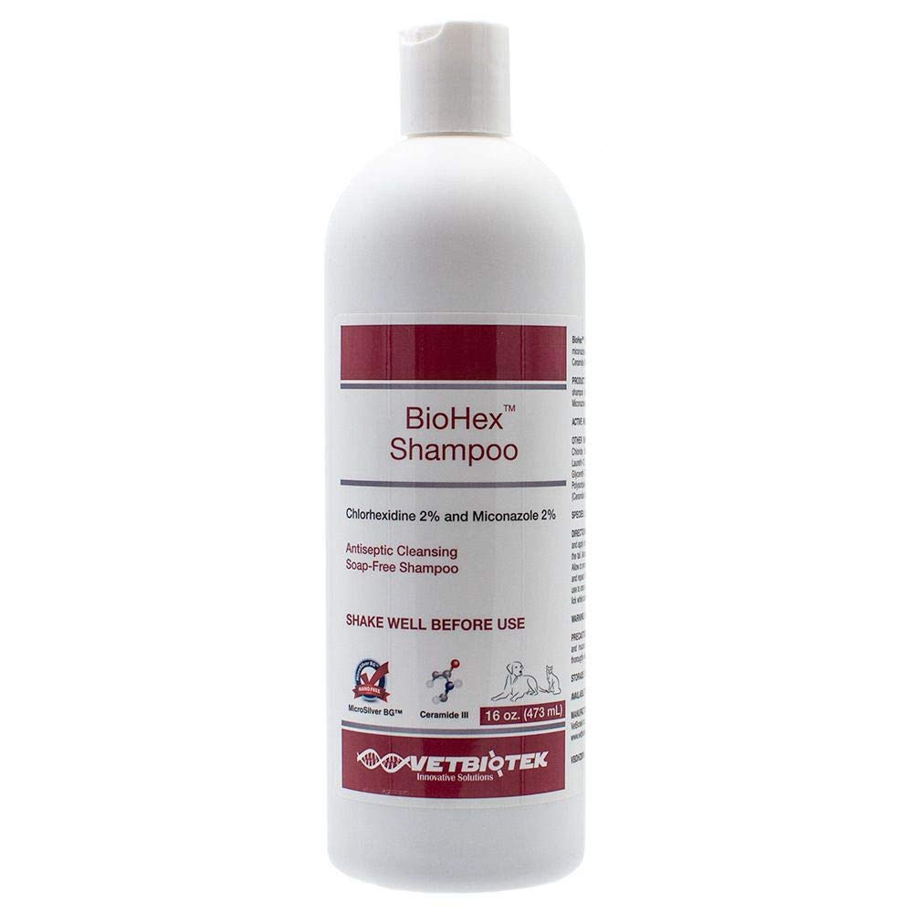 VetBiotek BioHex shampoo bottle, 16 oz, antibacterial and antifungal protection for pets' skin.