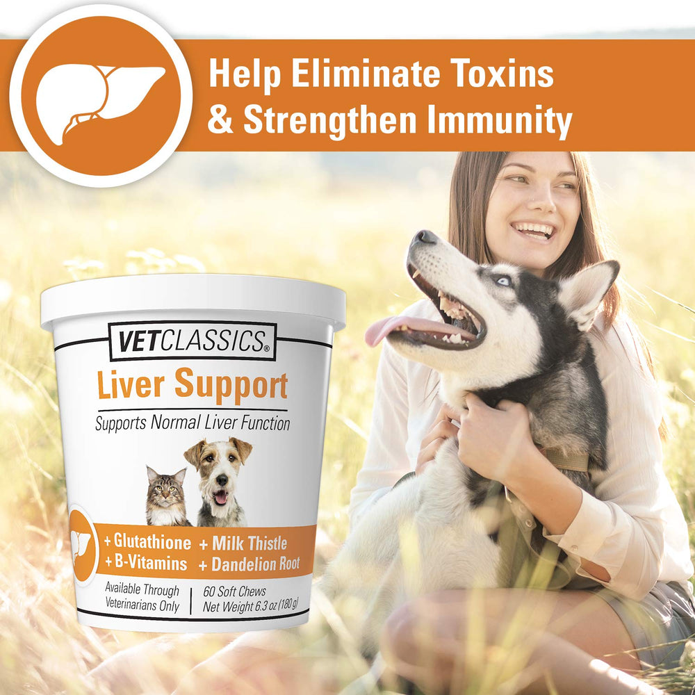 Vet Classics Liver Support bottle label close-up showing B-vitamins and milk thistle blend for liver health.