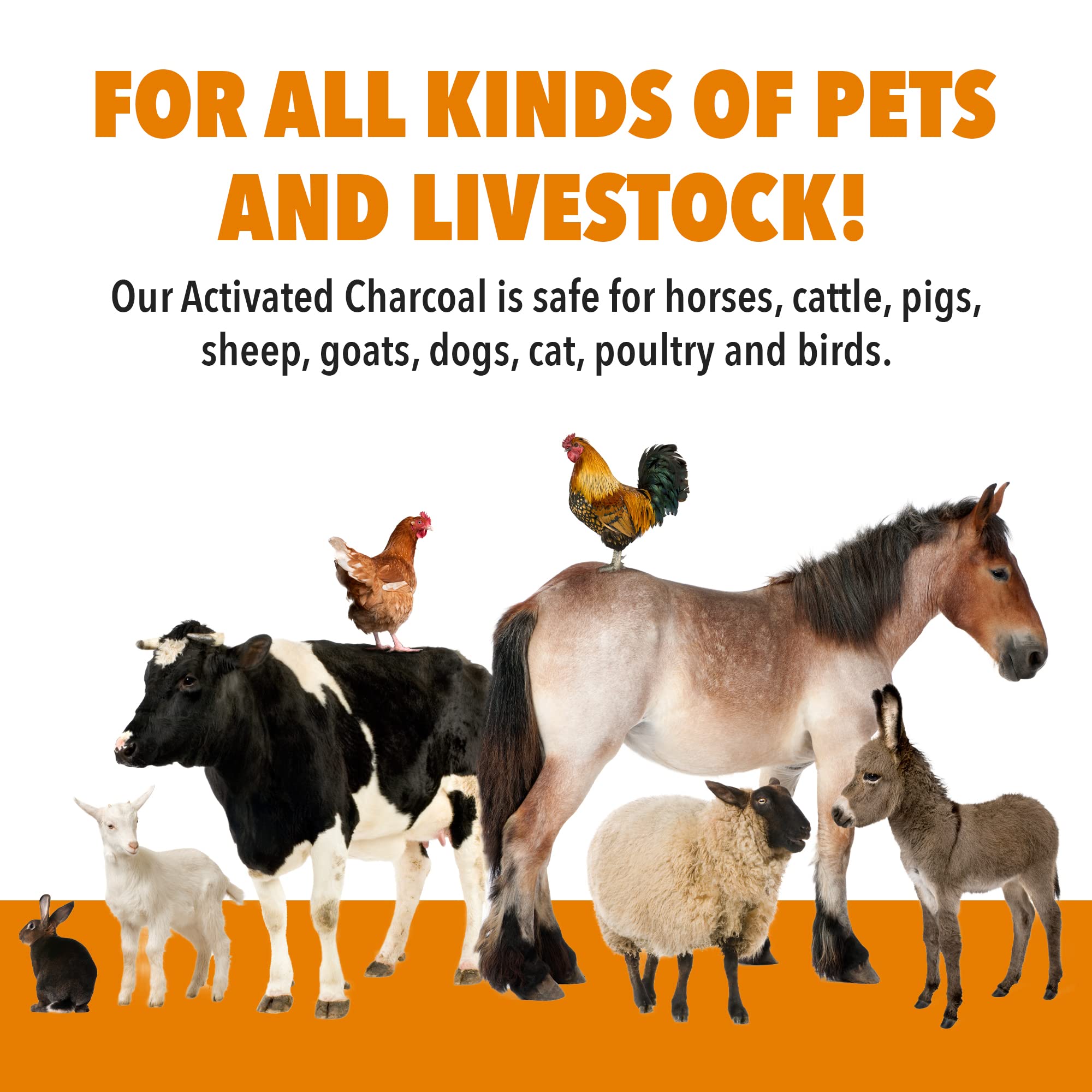 VetDtox charcoal powder in dog and cat feed for digestion support.