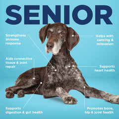 Vetericyn All-in-1 joint-support ingredients like glucosamine shown for mobility