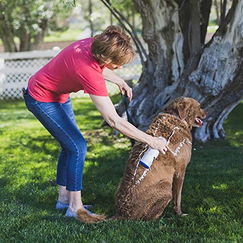 Post-bath coat from Vetericyn FoamCare looks clean, soft, and refreshed.