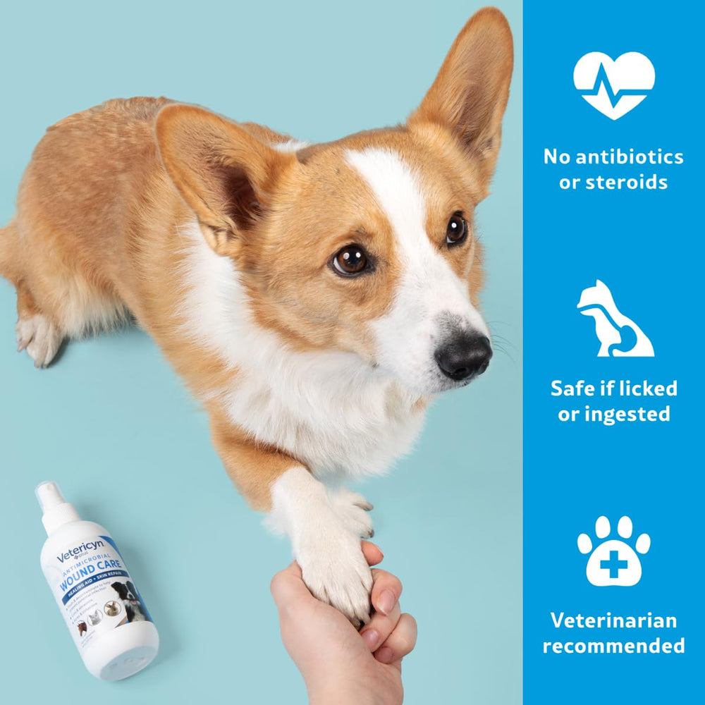 Vetericyn Plus veterinarian-recommended dog care for at home wound healing.