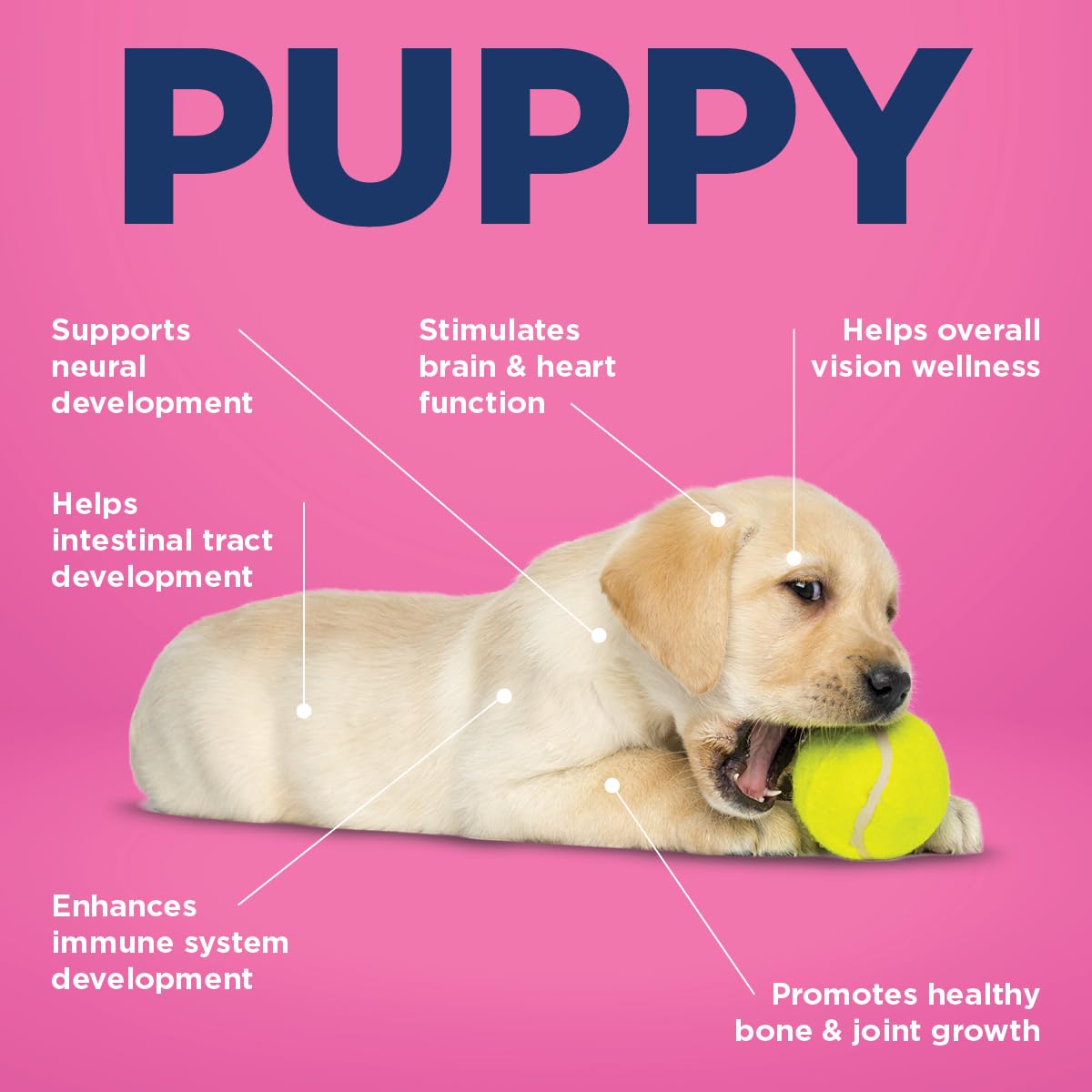 Vetericyn puppy supplement bottle-daily-dose emphasizes simple daily use for dogs.