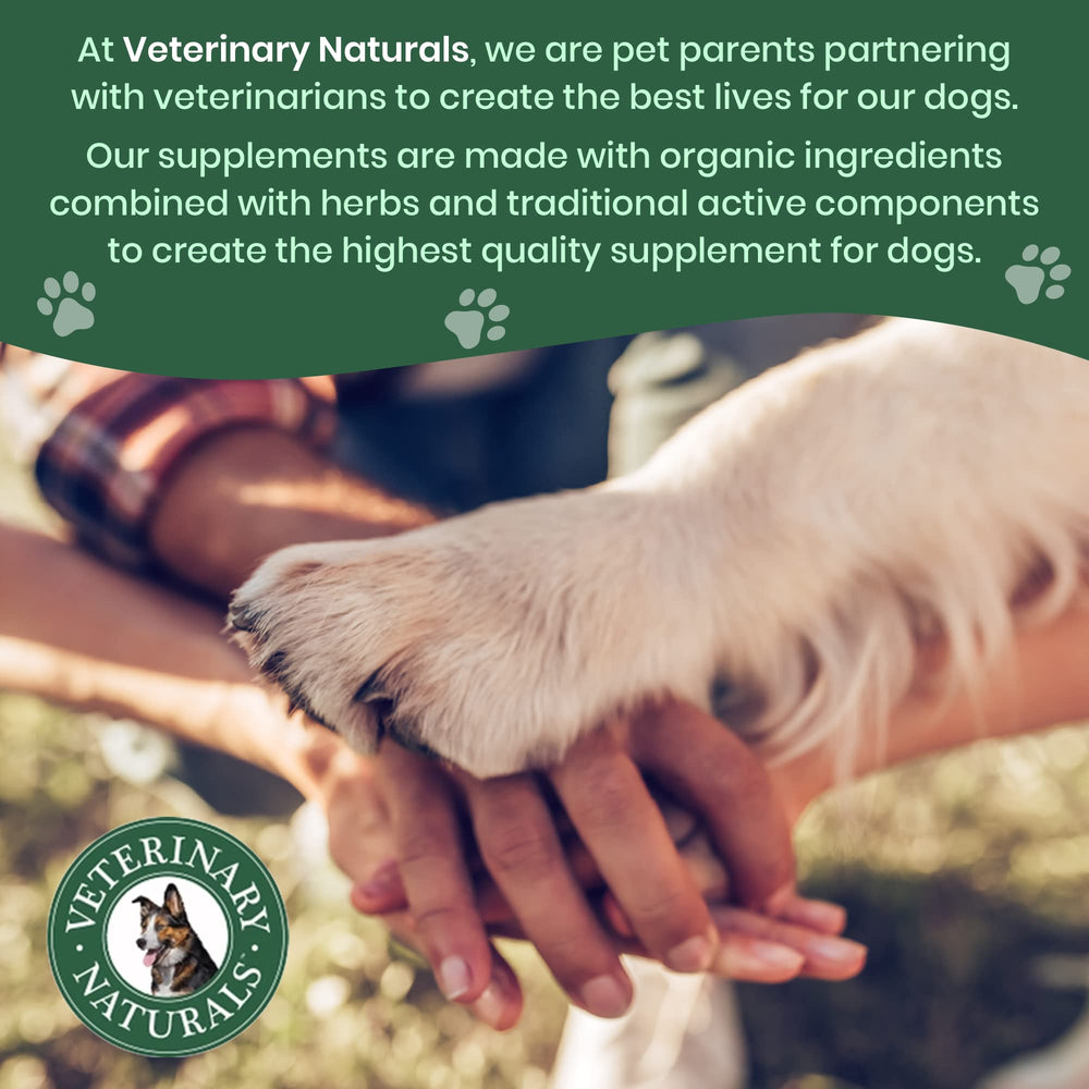 Vet-formulated Veterinary Naturals chews presented on a plate.