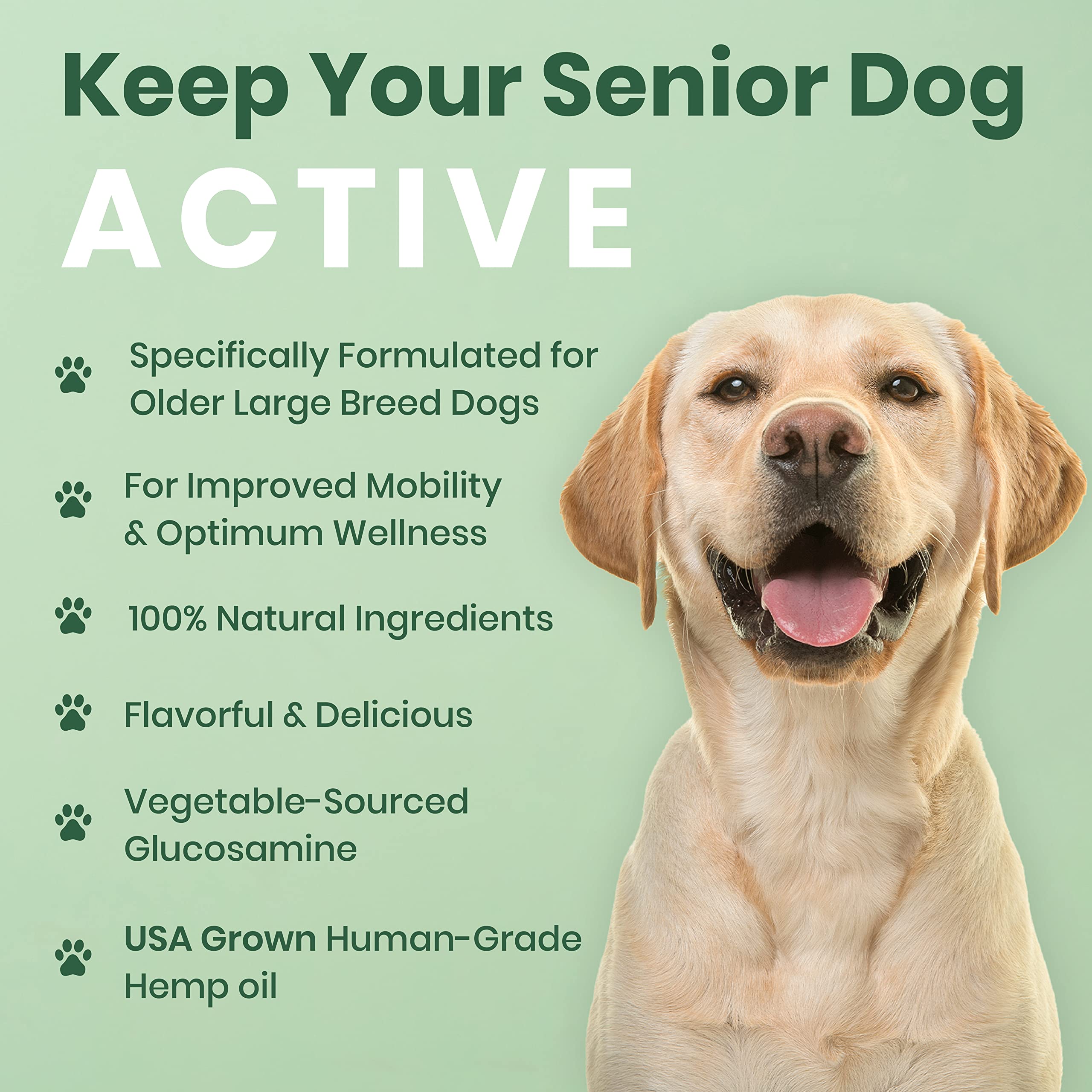 Omega fatty acid balance from Veterinary Naturals supports skin, coat, and mobility.