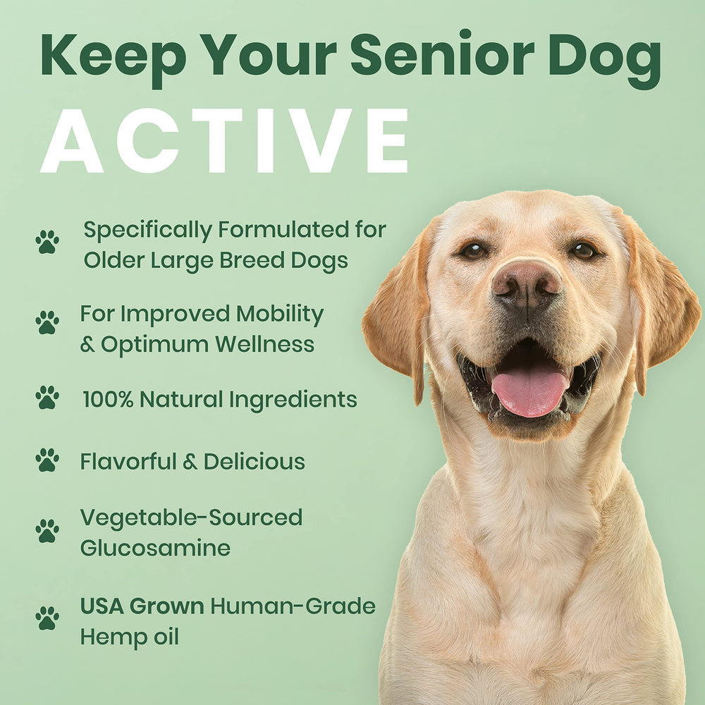 Omega fatty acid balance from Veterinary Naturals supports skin, coat, and mobility.
