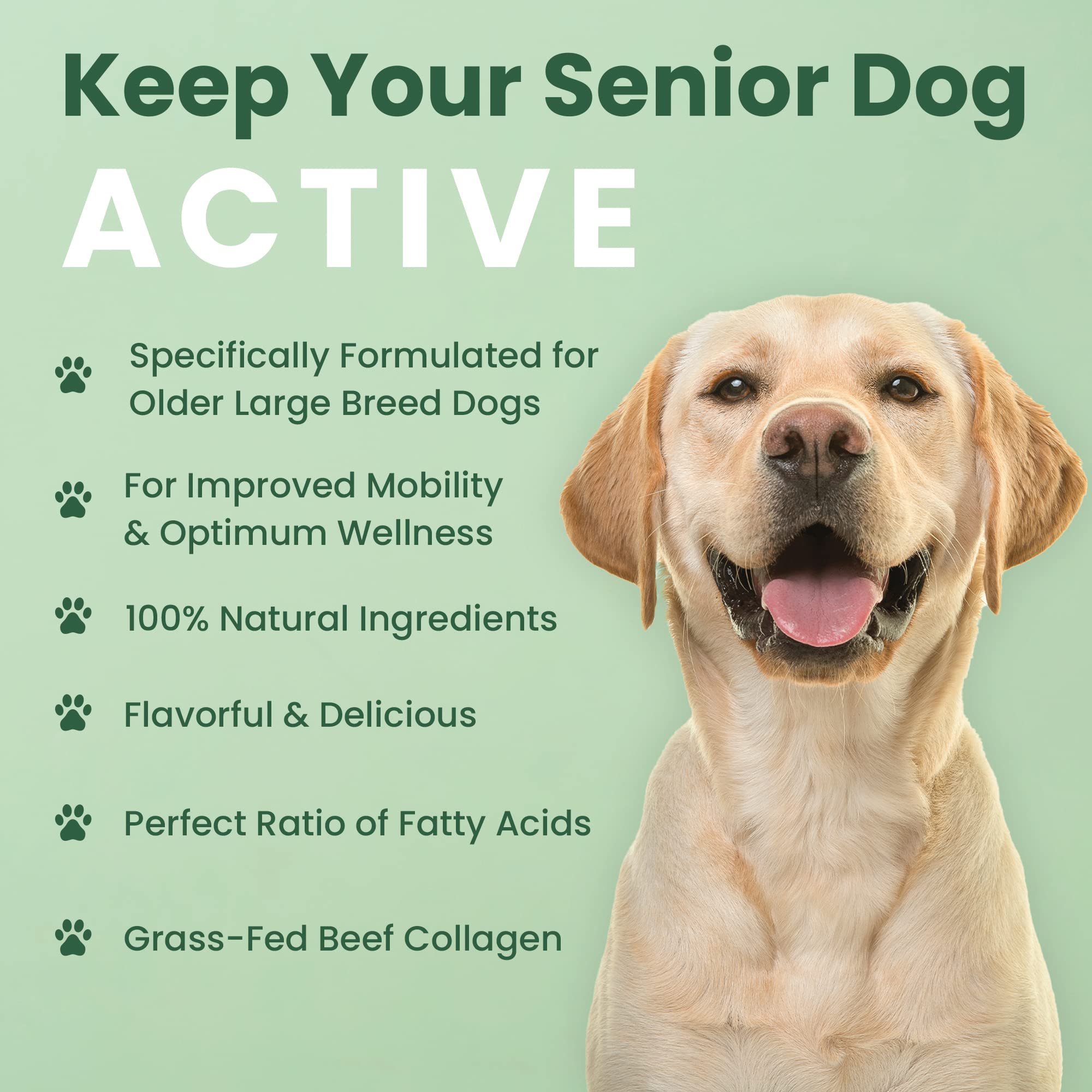 Veterinary Naturals usa-made vet-formulated badge on packaging emphasizes trusted joint support.