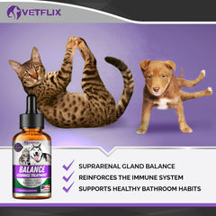 Vetflix Balance being mixed into food or water enables stress-free administration.