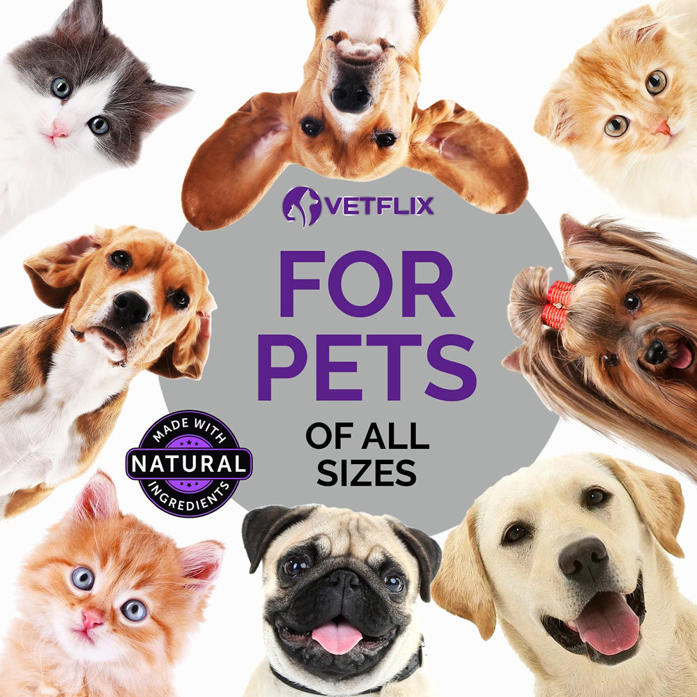 Vetflix Balance highlights kidney and adrenal support for dogs and cats.