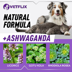 Vetflix Balance bottle being used with water for flexible administration options.