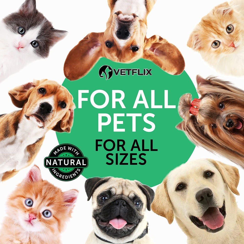 Vetflix Cough Relief dog-cat use illustrates pet care during cough episodes
