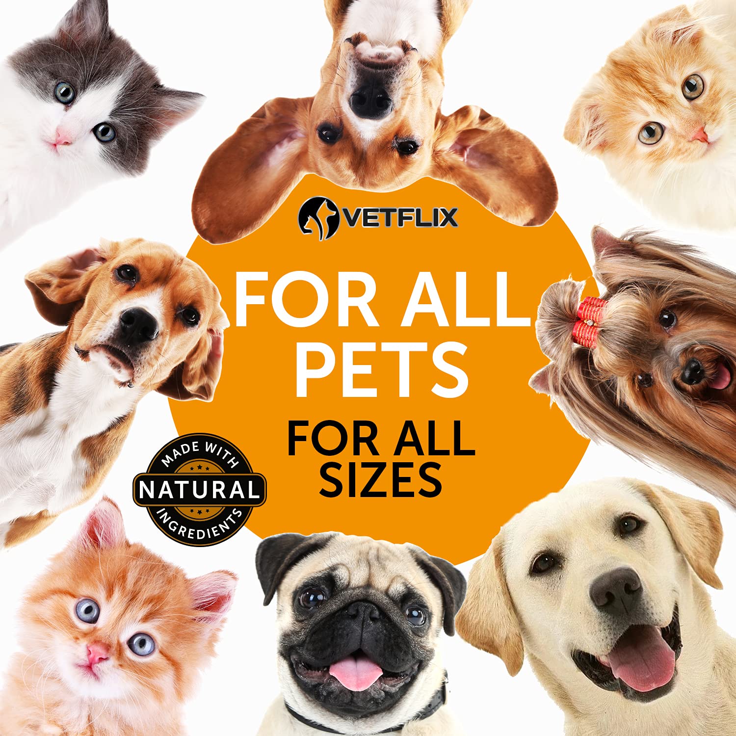 Vetflix vet-formulated USA-made formula underscores premium quality.