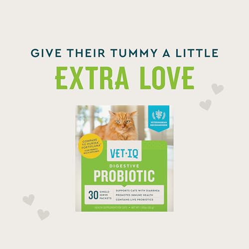 VetIQ Cat Probiotic Powder with chicken flavor helps entice picky eaters.