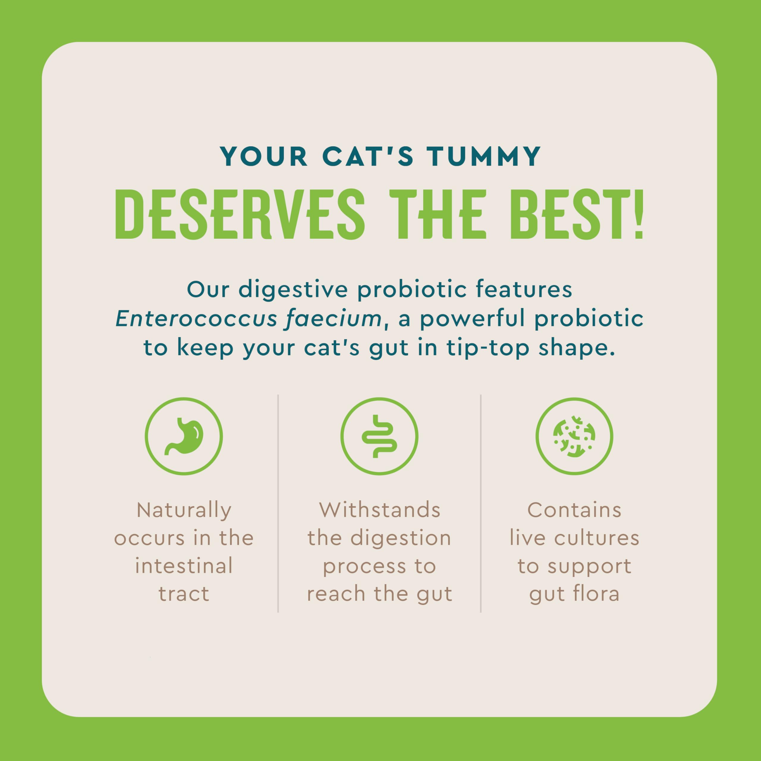 VetIQ Cat Probiotic Powder sprinkled on cat food improves taste and gut health.