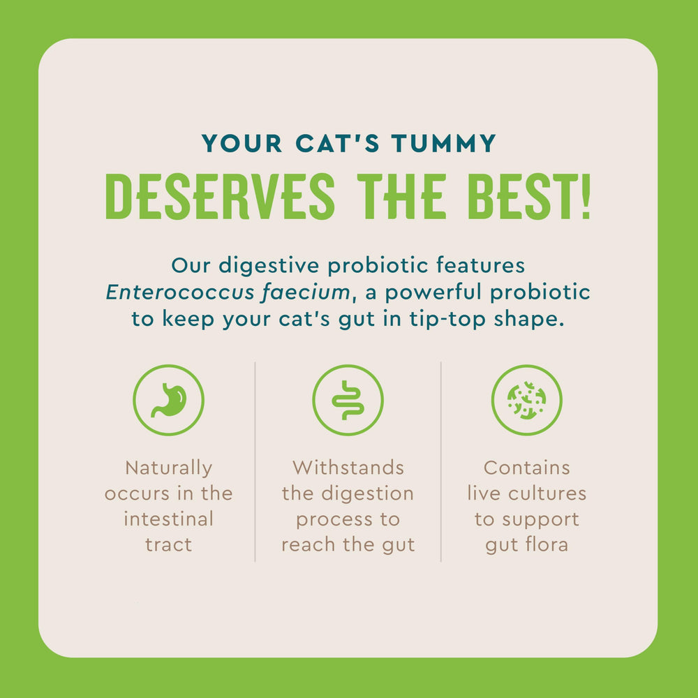 VetIQ Cat Probiotic Powder sprinkled on cat food improves taste and gut health.