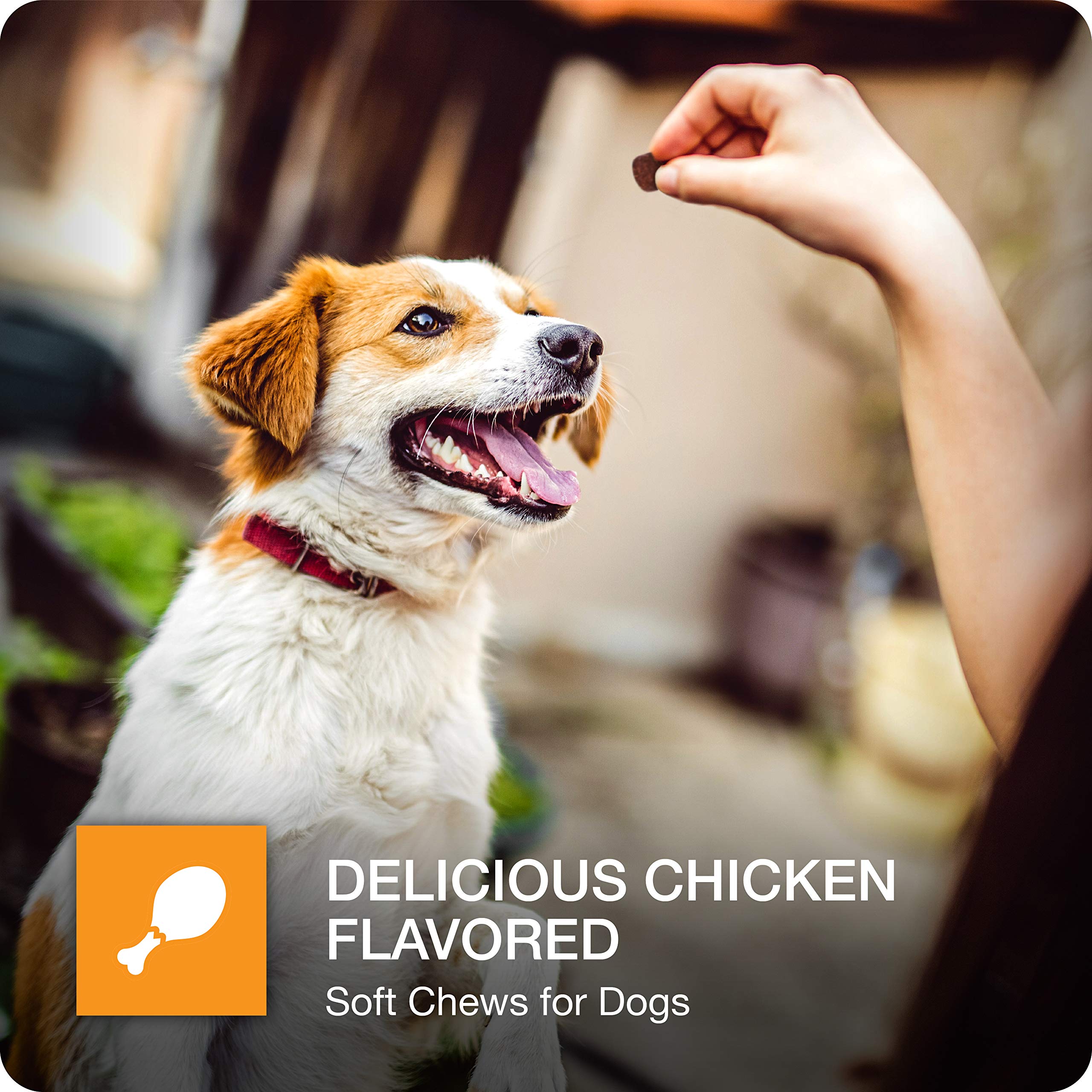 VetIQ Hip & Joint chicken-flavored chews shown as a tasty movement-supporting treat.