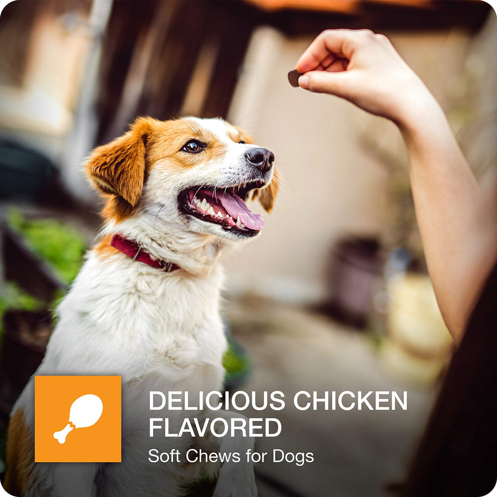 VetIQ Hip & Joint chicken-flavored chews shown as a tasty movement-supporting treat.