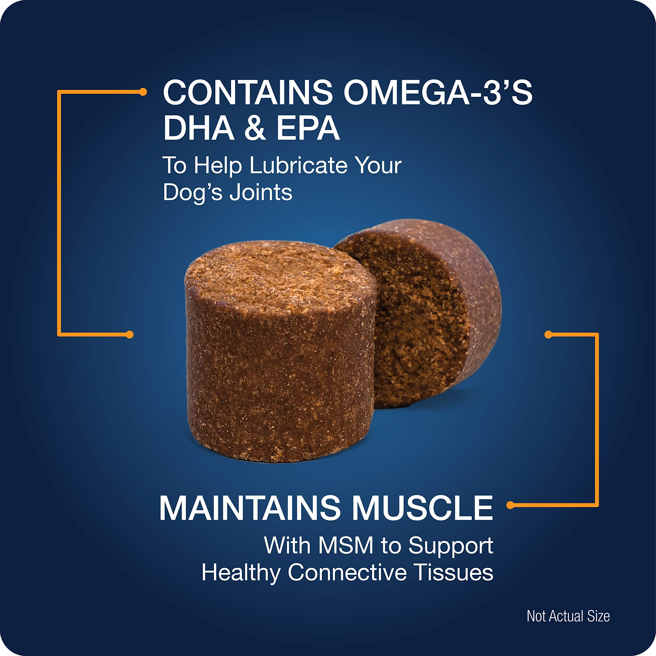 VetIQ Hip & Joint glucosamine image highlights cartilage support for active dogs.
