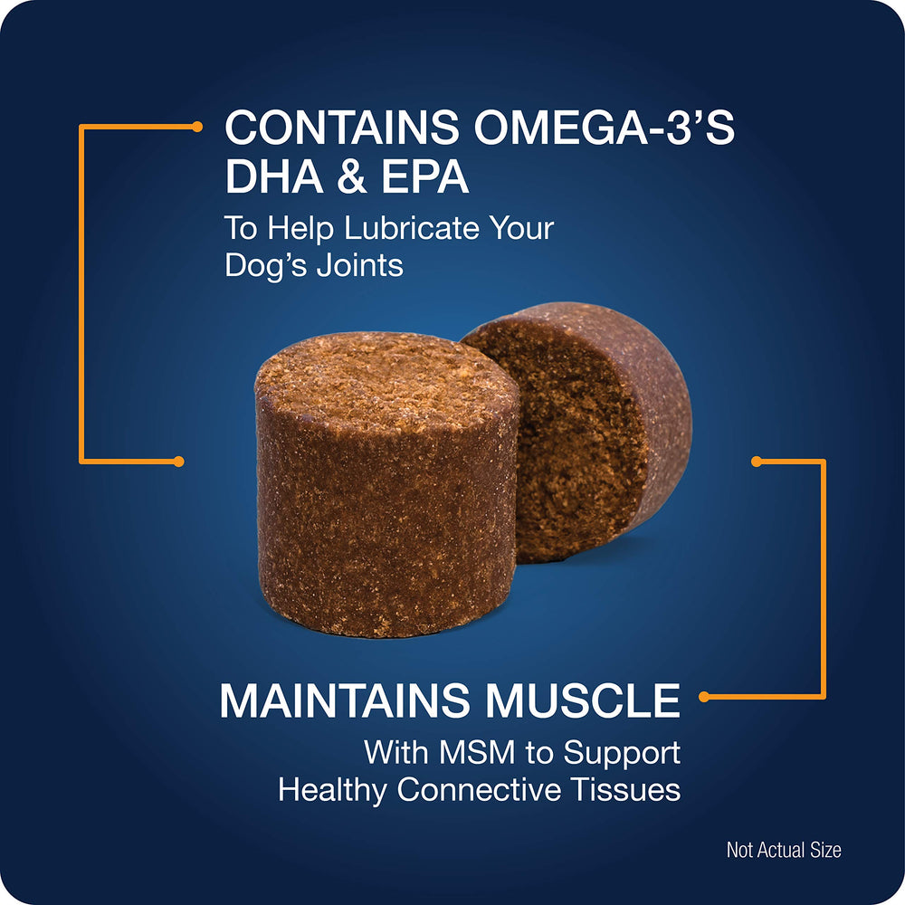 VetIQ Hip & Joint glucosamine image highlights cartilage support for active dogs.