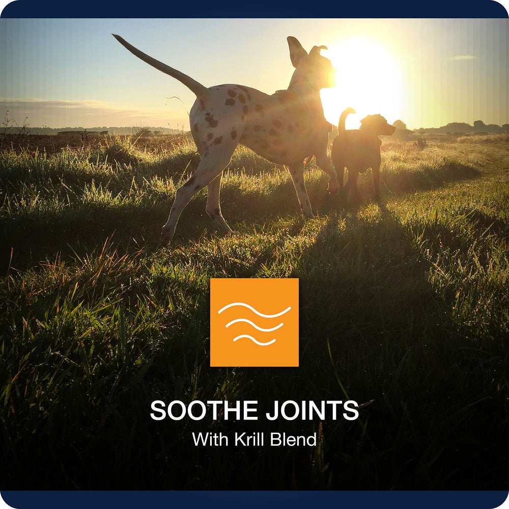 VetIQ Hip & Joint krill image underscores omega-3 for joint lubrication and overall health.