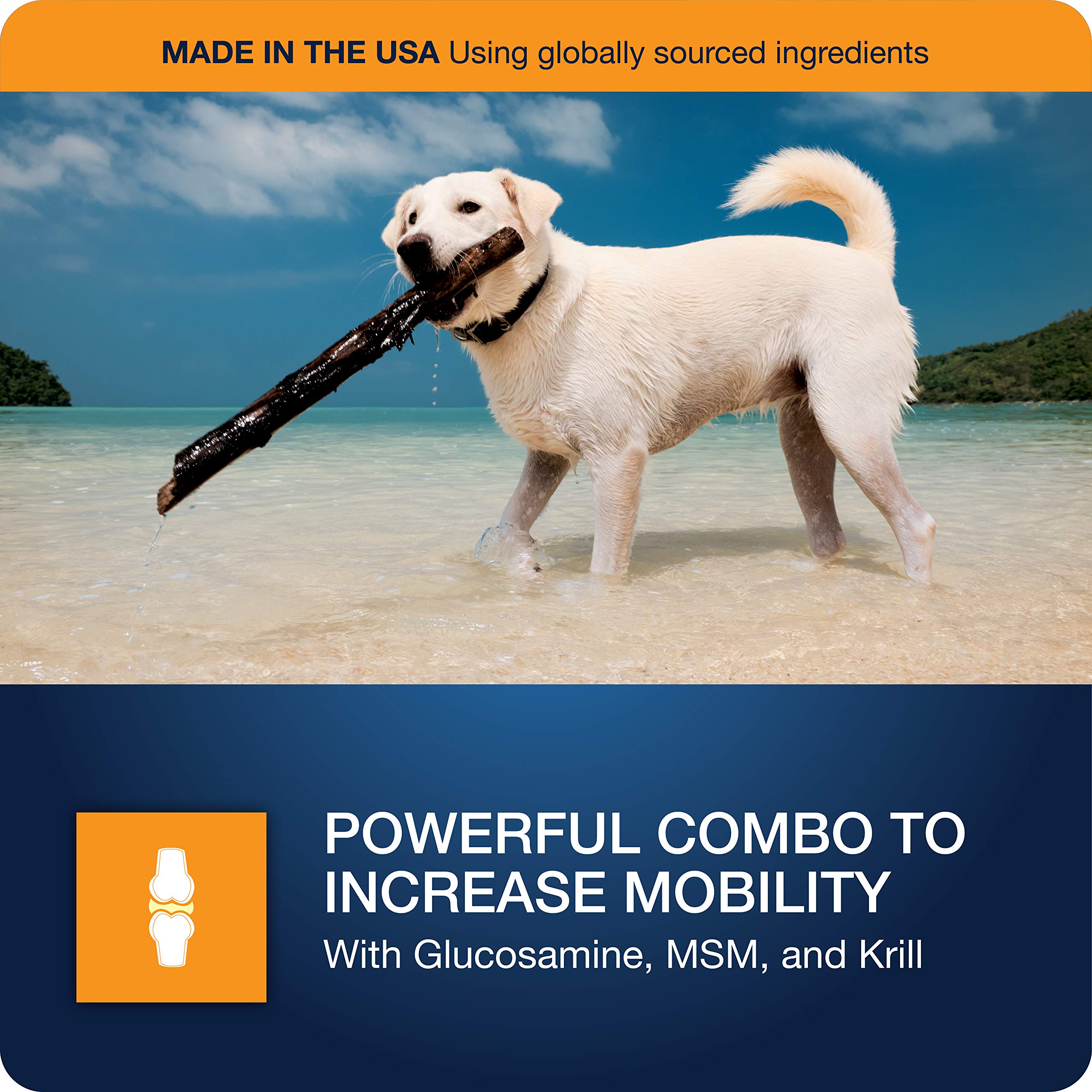 VetIQ Hip & Joint MSM image emphasizes mobility and comfort for aging joints.