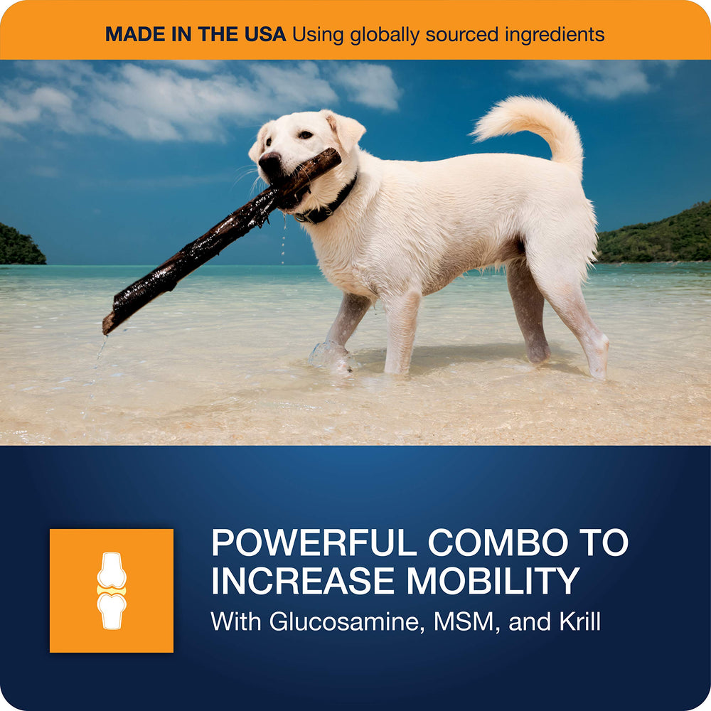 VetIQ Hip & Joint MSM image emphasizes mobility and comfort for aging joints.