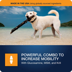 VetIQ Hip & Joint MSM image emphasizes mobility and comfort for aging joints.
