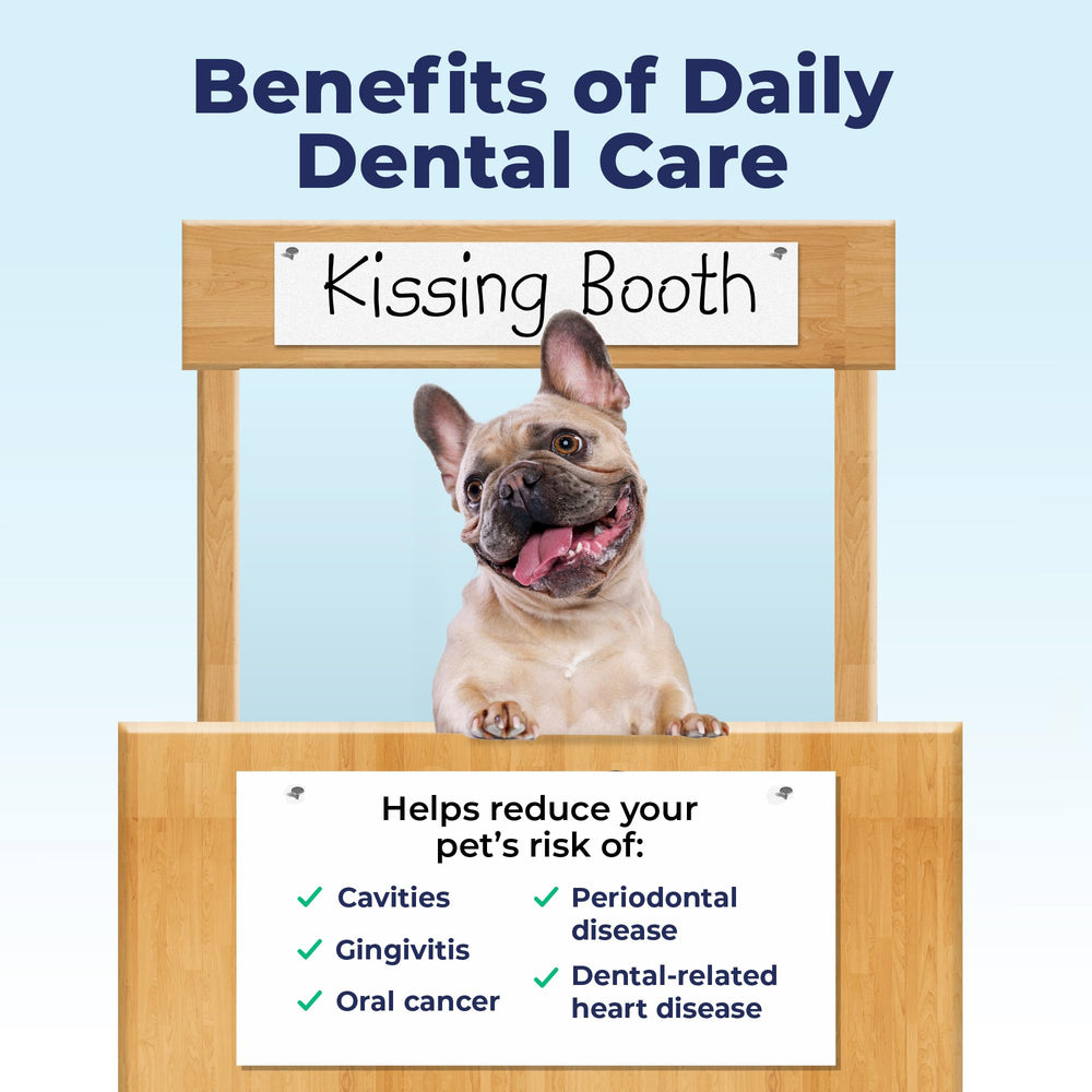 Dentabliss peppermint breath freshener in use during routine care