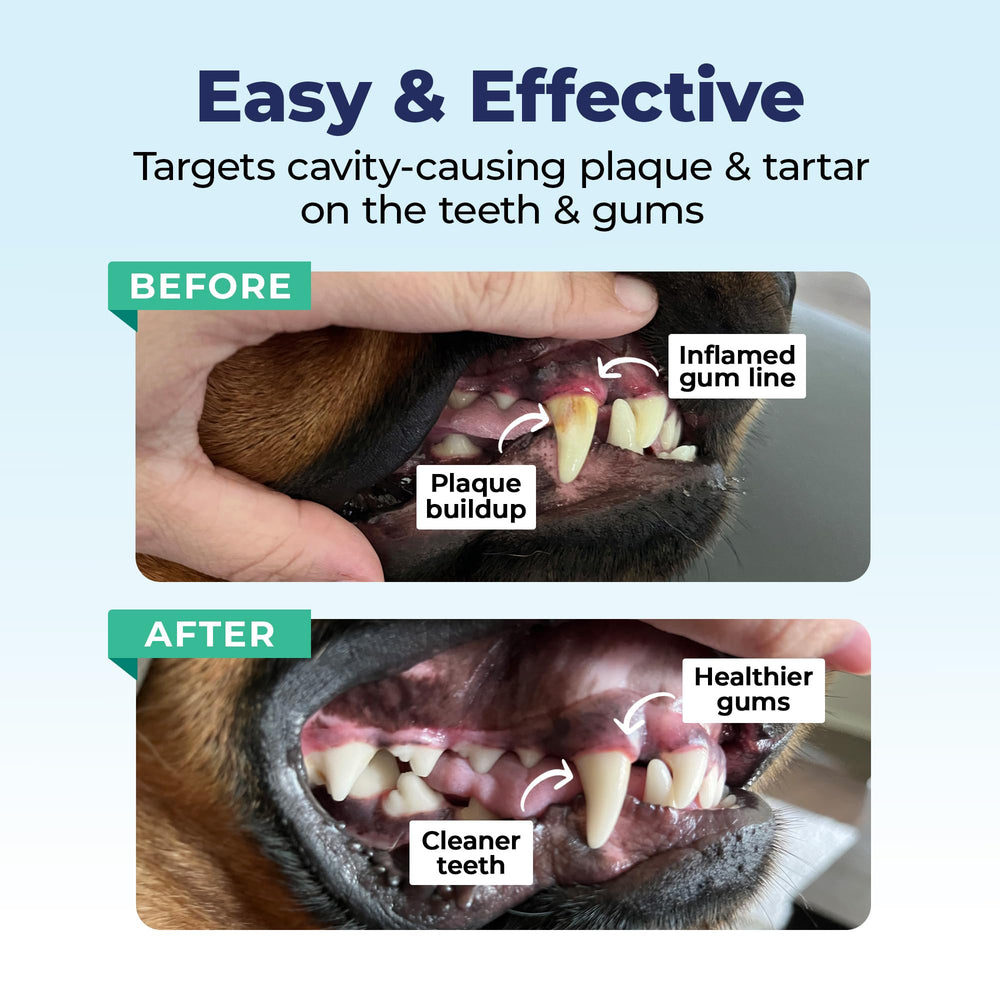 Natural ingredients like rosemary and neem support dental care.