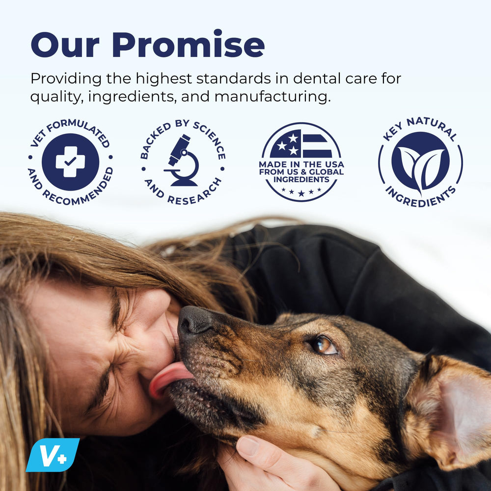 Vetnique Dentabliss vet formulated USA made product image