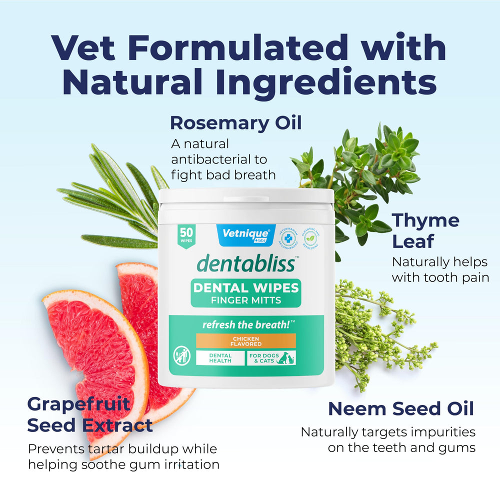 Vet-formulated Vetnique Dentabliss, trusted by veterinarians.