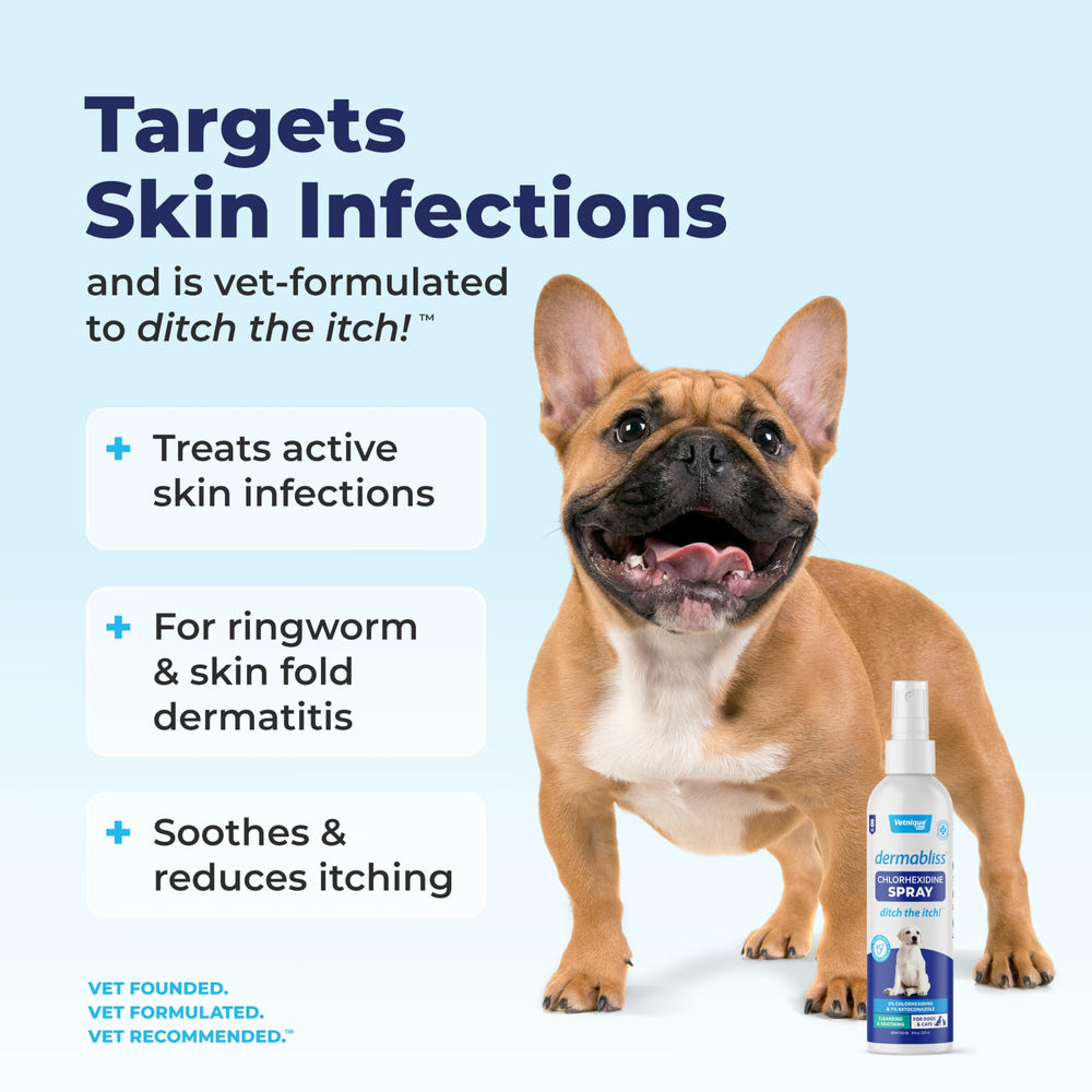 Dermabliss 4% chlorhexidine formula label highlights veterinary-strength antiseptic protection