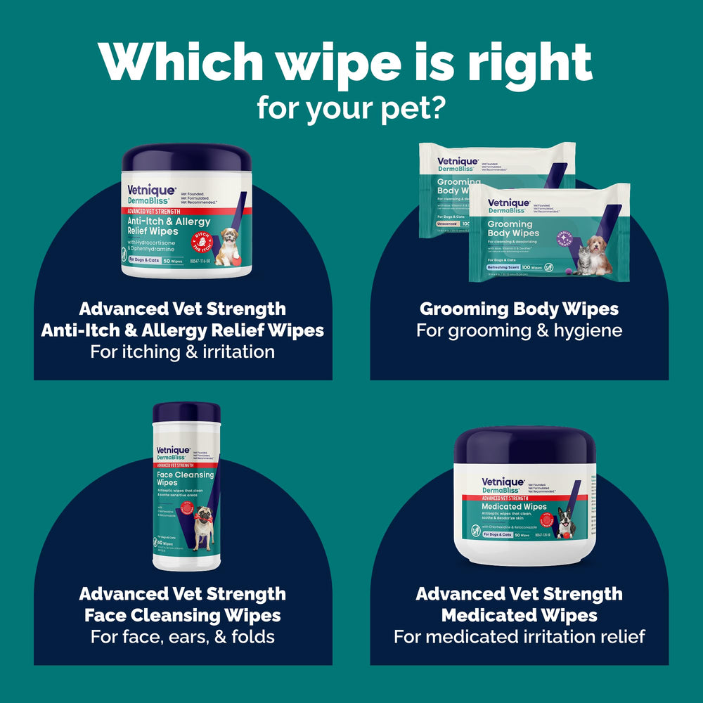 Dermabliss dog face wipes application demonstrates easy cleaning around eyes and nose.