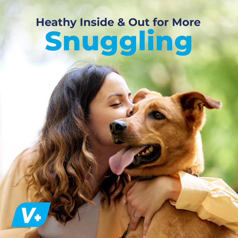 Pet owner offers Dermabliss chew to promote healthy skin and coat.