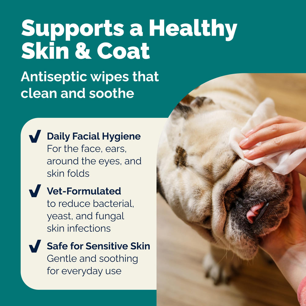 Chlorhexidine and Ketoconazole ingredients emphasized for vet-formulated cleansing.