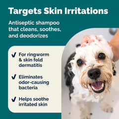Vetnique Dermabliss shampoo bottle angled view signals easy, safe pet grooming at home.