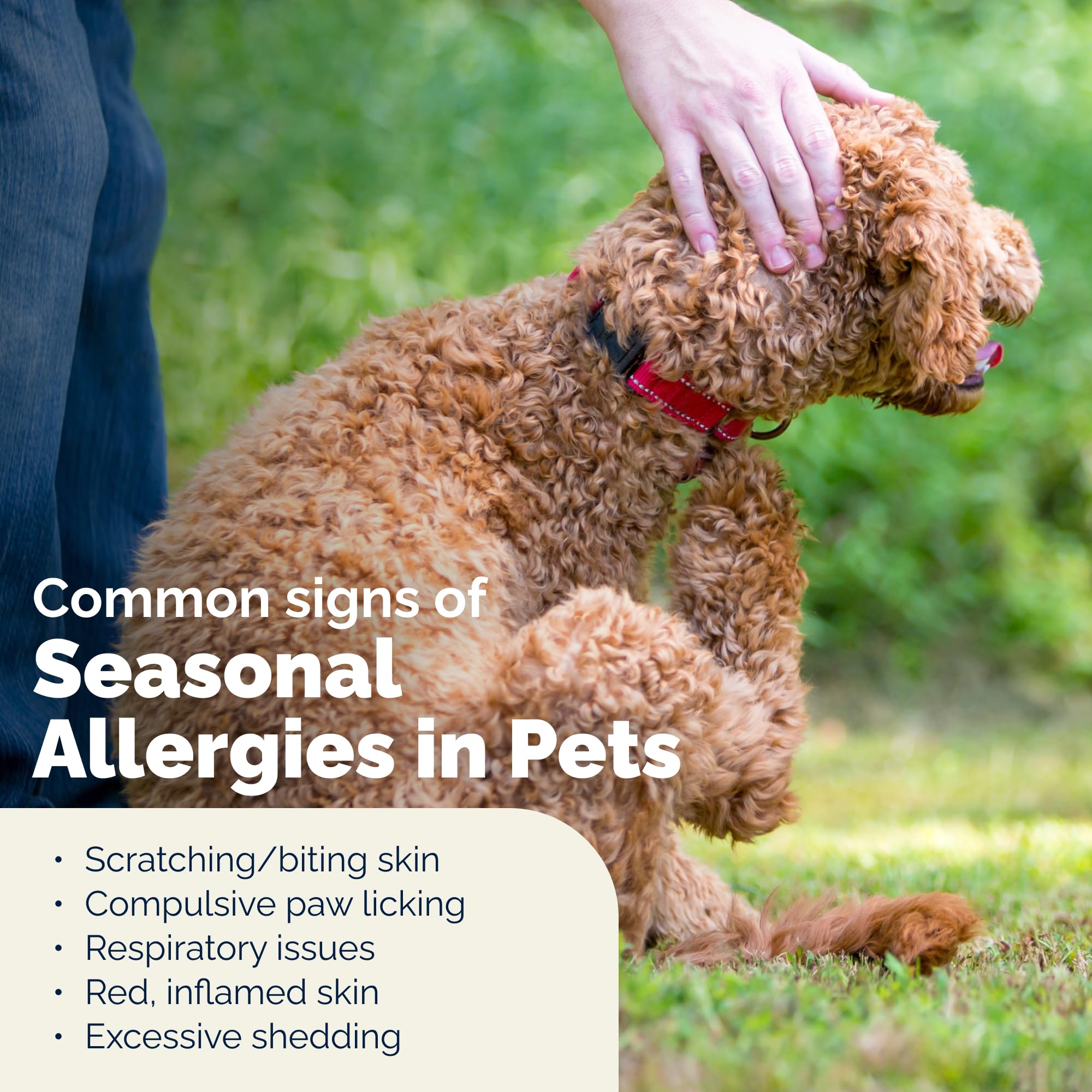 Vetnique Dermabliss veterinary-strength label emphasizes relief without prescription.