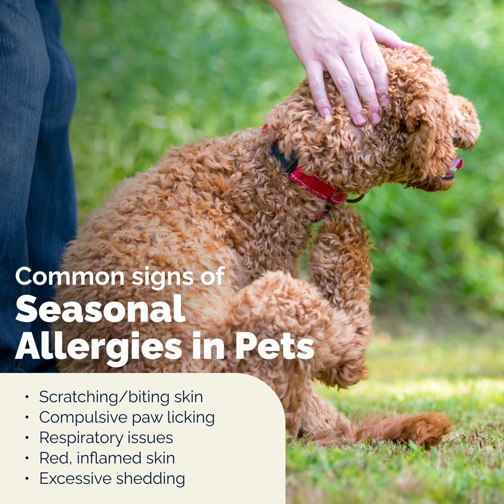 Vetnique Dermabliss veterinary-strength label emphasizes relief without prescription.