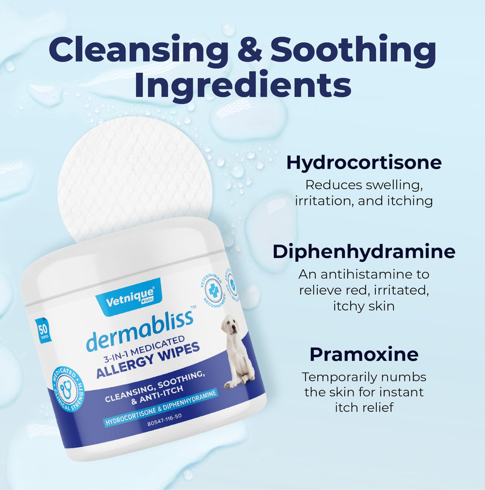 Vetnique Dermabliss wipes near care setup for pet hygiene