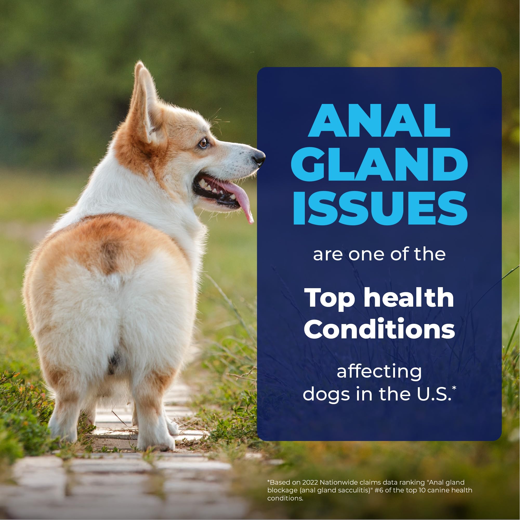 Vetnique Glandex spray helps address anal gland irritation in dogs and cats.