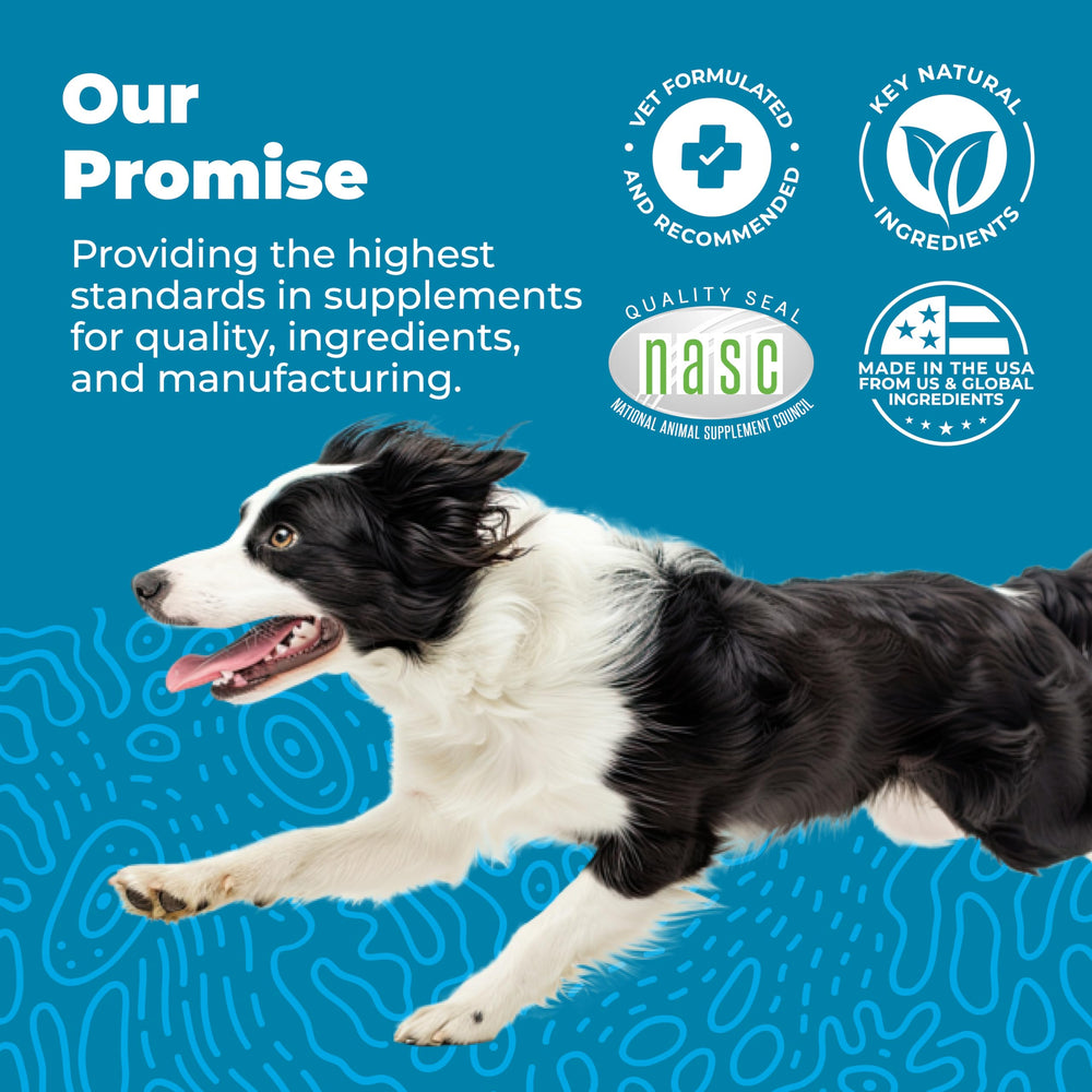 Vetnique Glandex brand logo reinforces trusted veterinary brand and product line