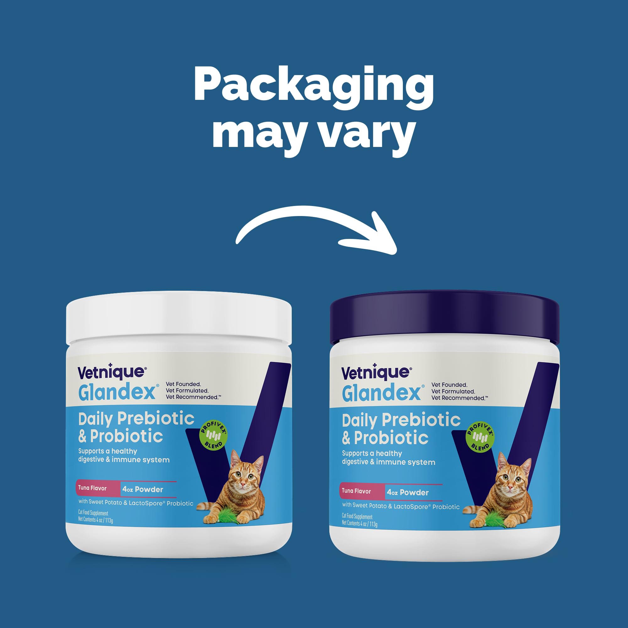 Vetnique Glandex cat daily probiotic powder supports gut flora.