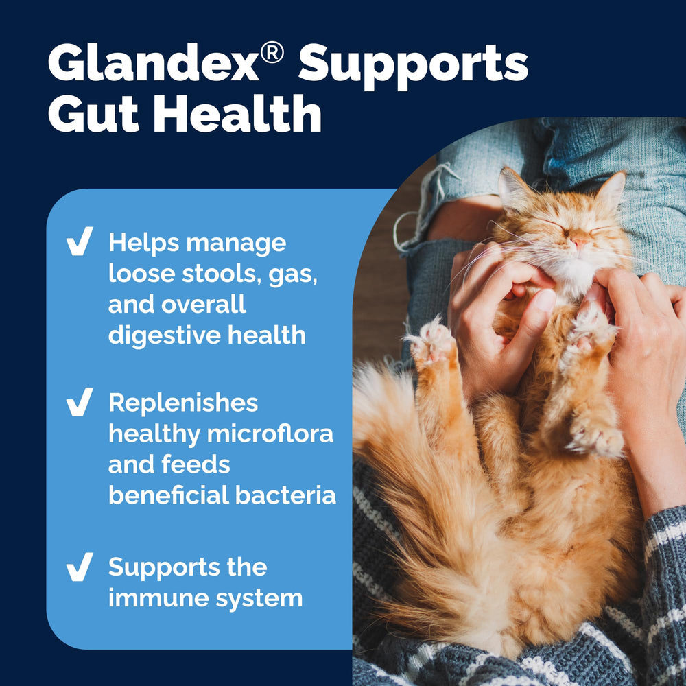 Vetnique Glandex cat digestive enzymes powder to aid digestion.