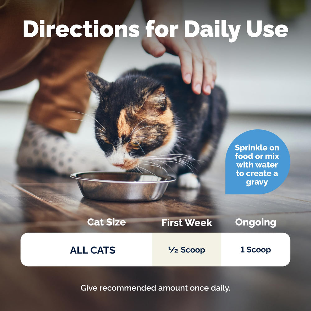 Vetnique Glandex cat probiotics powder for immune and gut health.