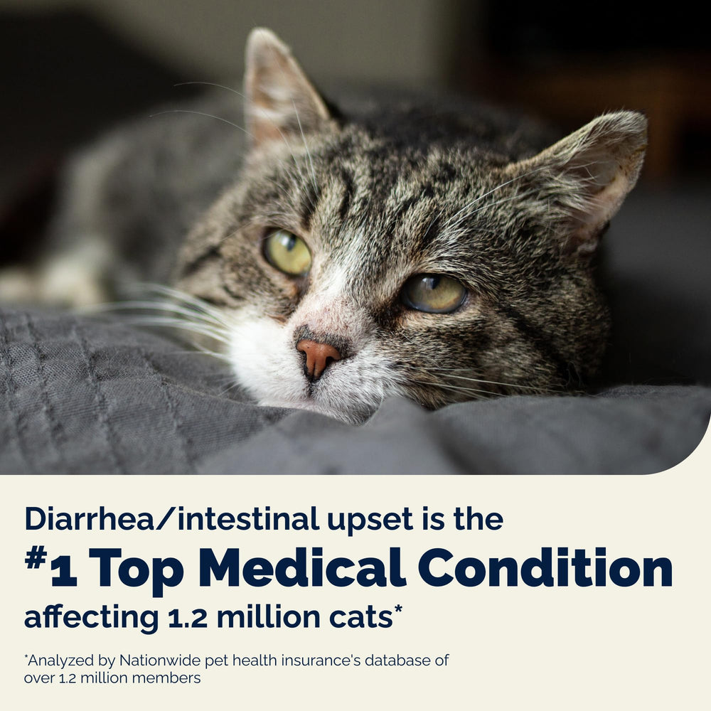 Vetnique Glandex cat tuna flavored powder eases daily administration.
