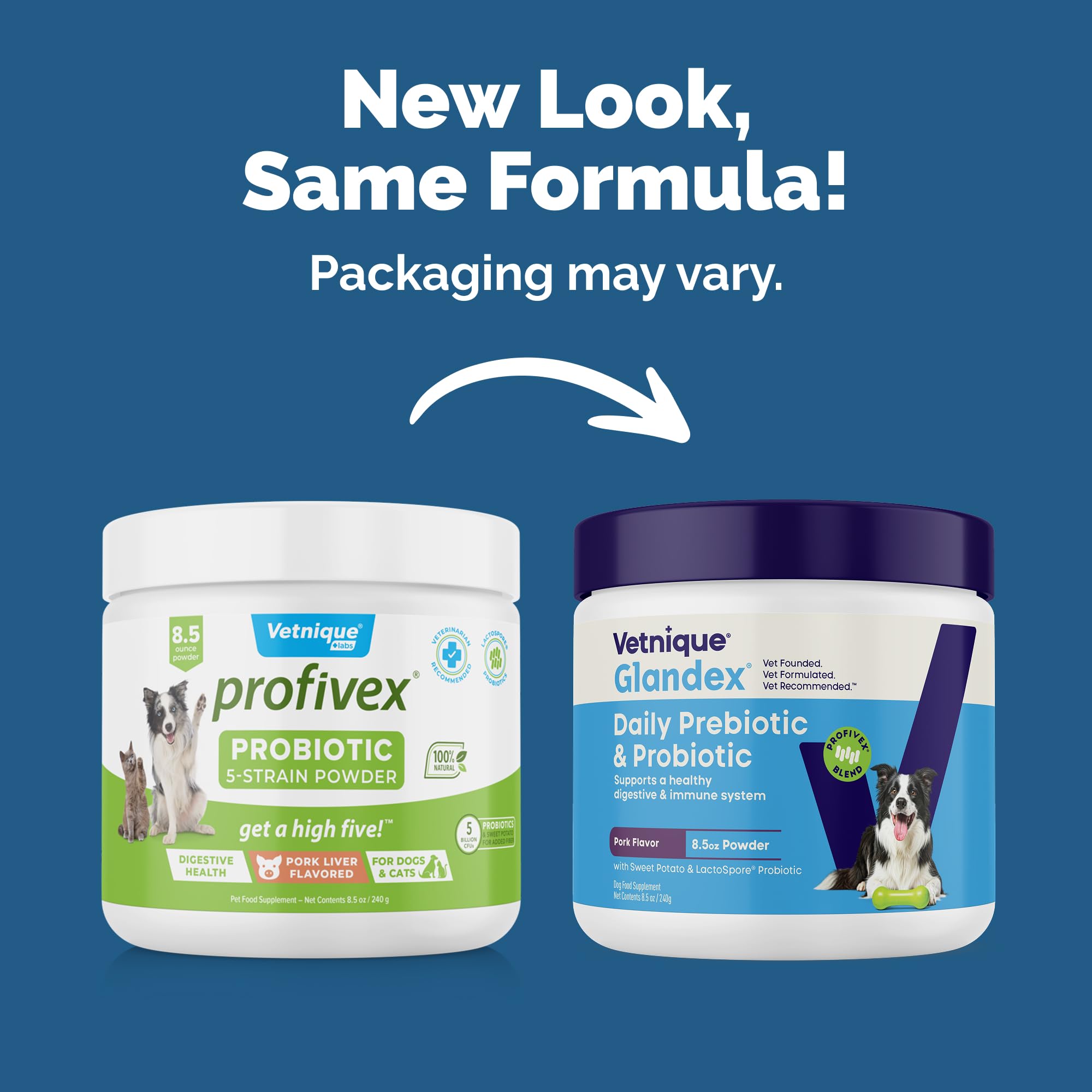 Vetnique Glandex bacon-flavored chews, tasty probiotic option for digestive health.