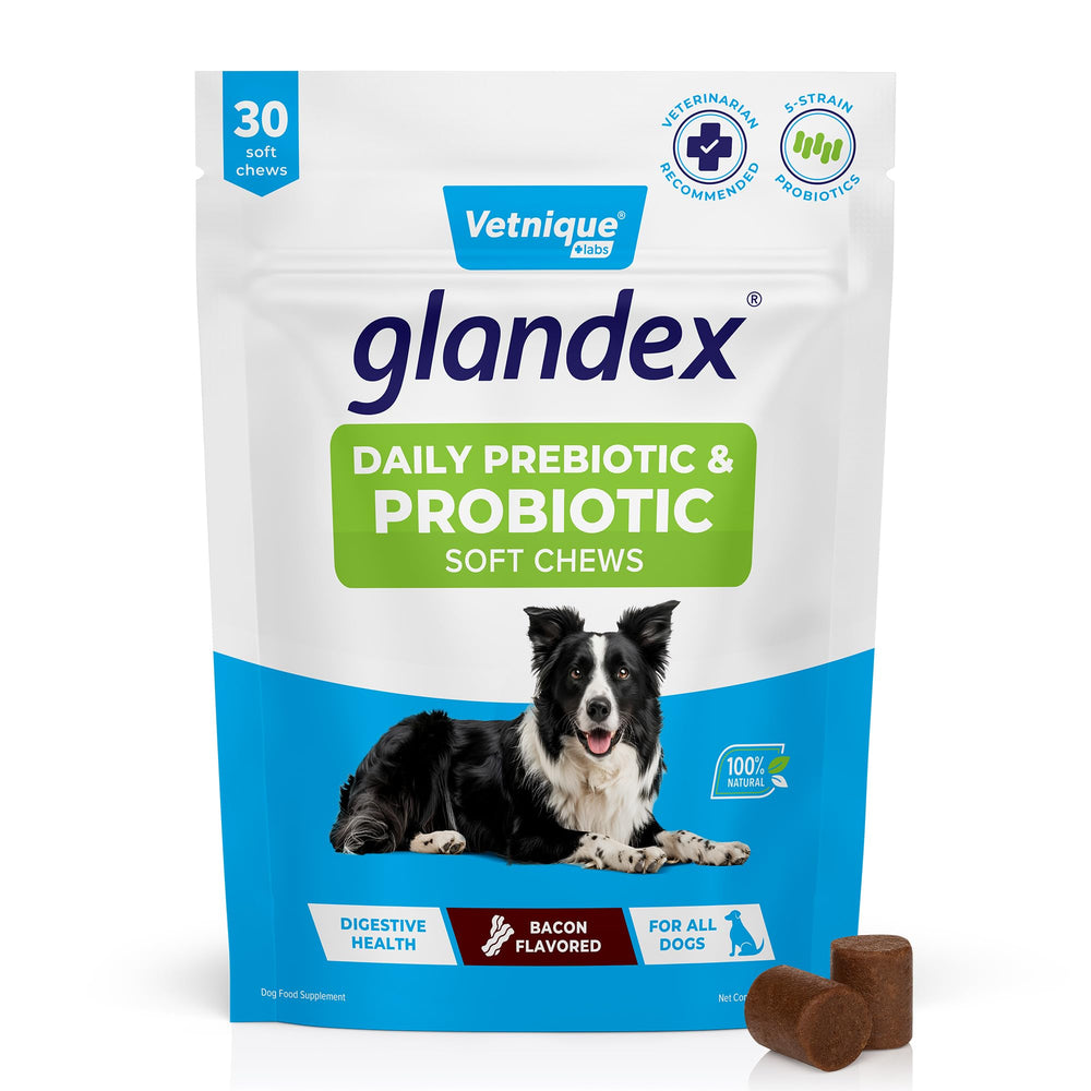 Vetnique Glandex daily probiotics bacon chews bottle shows tasty gut health support for dogs