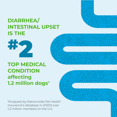 Vetnique Glandex dog chews near packaging demonstrates convenient daily probiotic care
