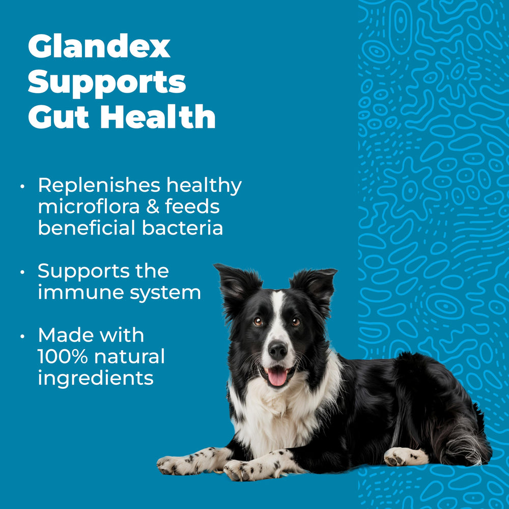Vetnique Glandex dog digestive enzymes image indicates anti-inflammatory enzymes for calmer digestion
