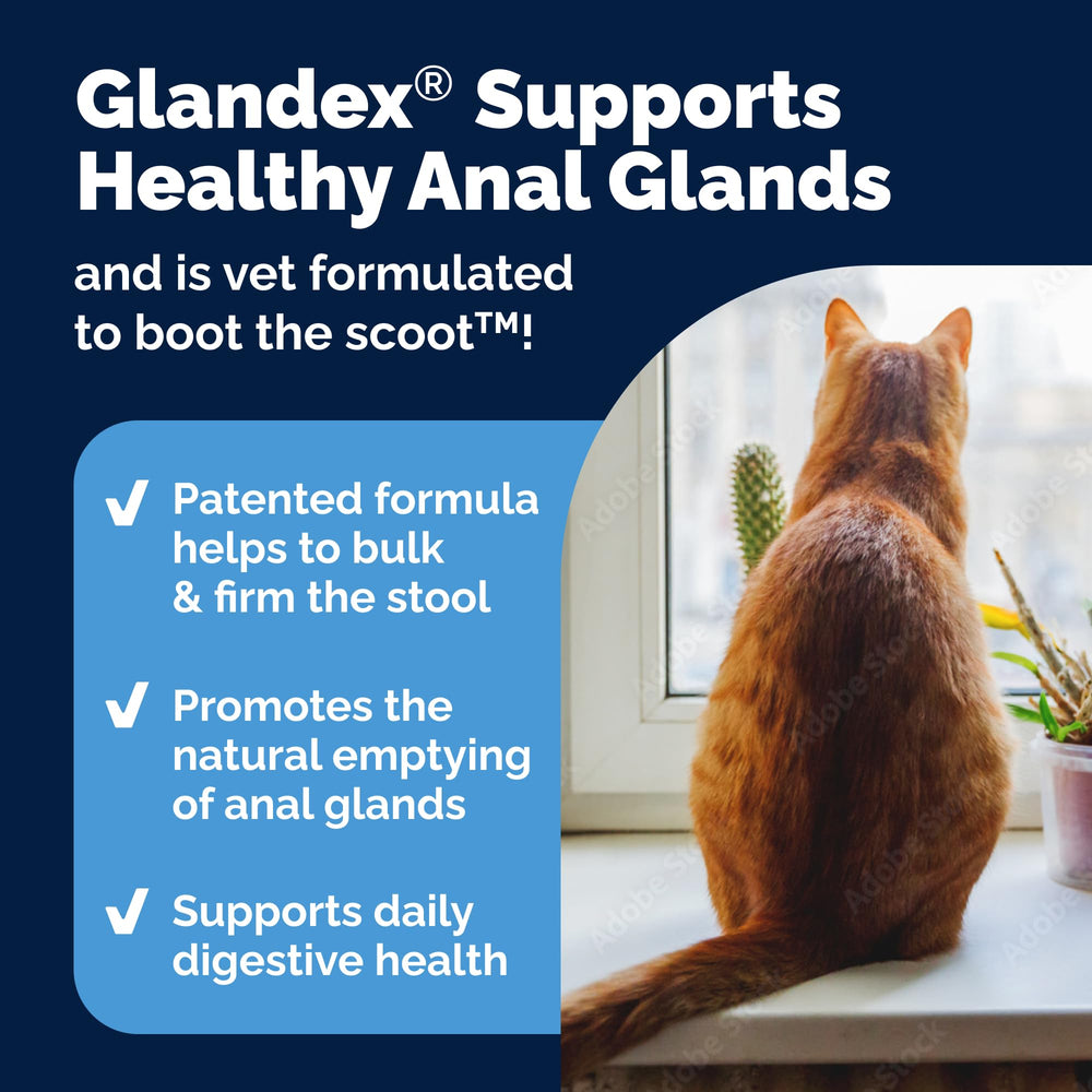 Vetnique Glandex digestive enzymes blend bottle highlights gut-friendly support